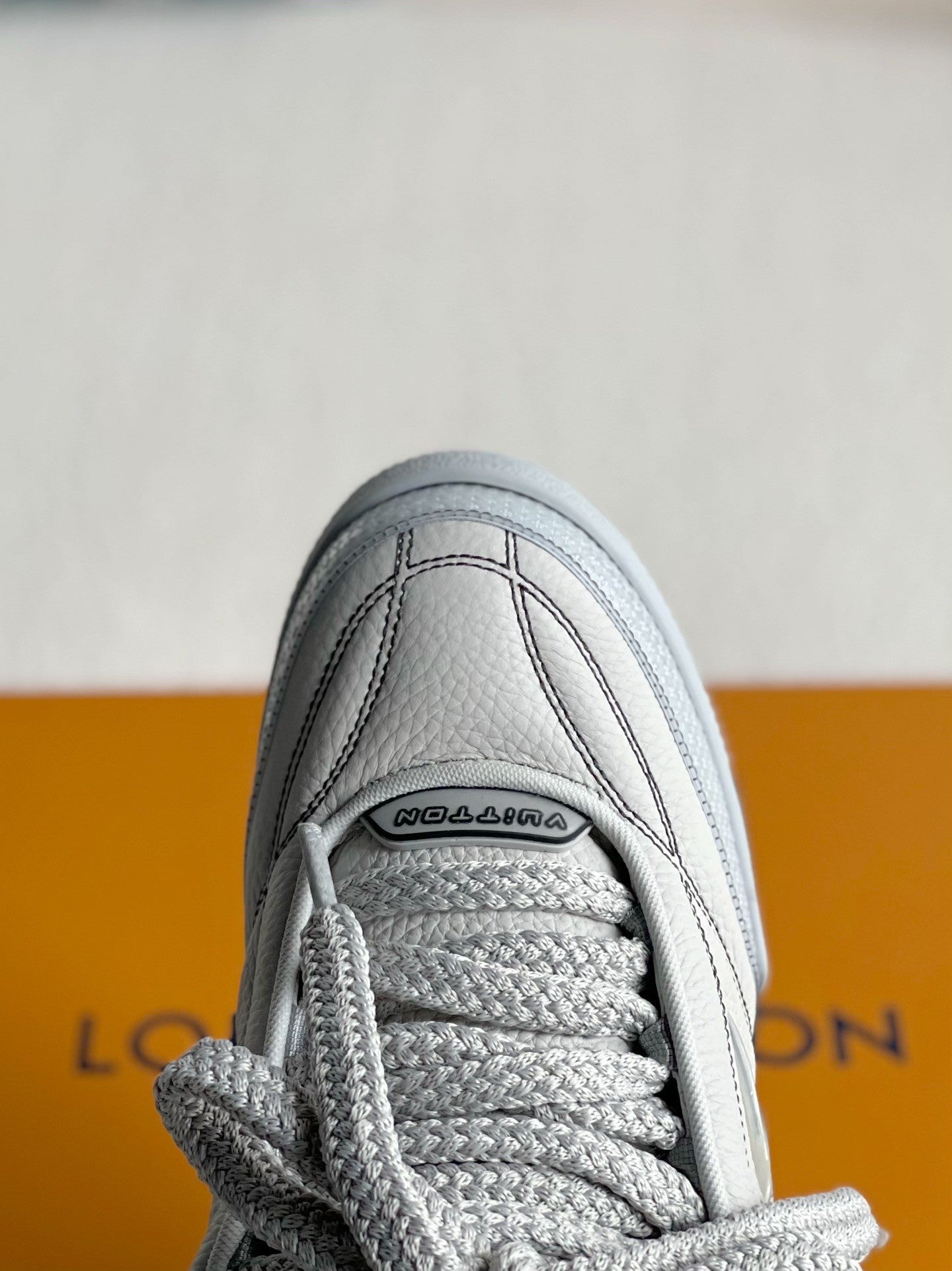 Louis Vuitton Skate Sneakers