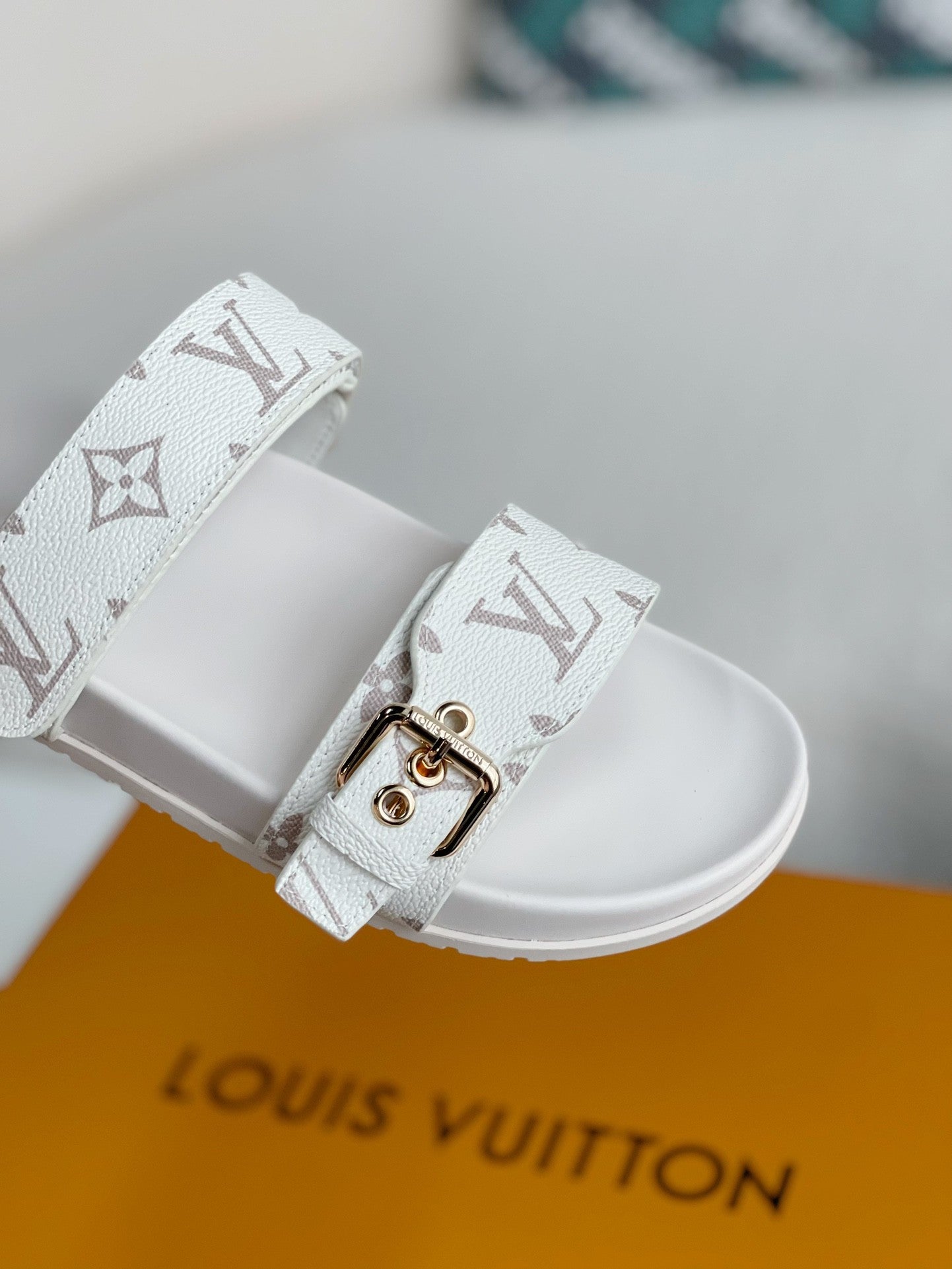 LOUIS VUITTON SLIPPERS